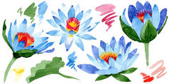 美丽的蓝色莲花在白色上被孤立。水彩背景插图。水彩画时尚孤立的莲花插画元素.