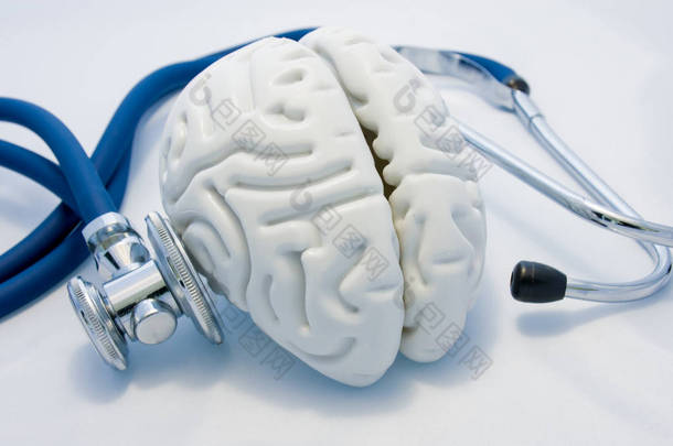 精神和<strong>心理健康</strong>的诊断和治疗概念。空脑解剖模型是在白色背景和他的诊断听诊器。神经系统疾病的测定