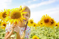阳光明媚的夏日, 孩子们在向日葵地里玩耍。小女孩玩向日葵.