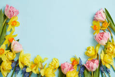 粉红色郁金香、黄色水仙花、蓝色背景上的蓝色风信子的顶部视图, 带有复制空间
