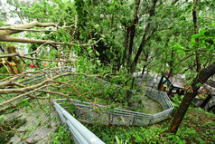 台风过后损坏