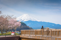 春天，樱花盛开樱花富士山