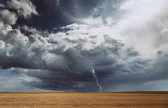 雷暴和飓风与黑云彩和闪电在田野用农作物麦子