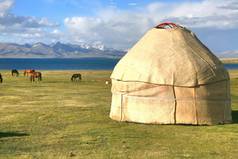 马在伊塞克湖湖的大草地上, 在吉尔吉斯斯坦的纳伦
