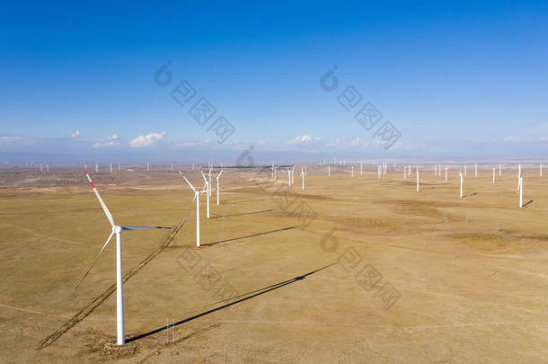 中国新疆风电场鸟图