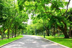 fresh air in park.green area create a good environment in the city for people to have outdoor activi