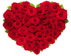红色玫瑰在白色背景上的心的形式
