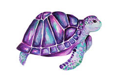 美丽的海龟艺术水彩背景插图