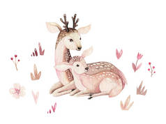 水彩小鹿宝宝和母亲水彩本比卡通婴儿托儿所。森林有趣的小鹿插图。法恩动物。妈妈和婴儿装饰