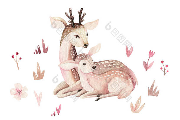 水彩小鹿宝宝和母亲水彩本比卡通婴儿托儿所。森林有趣的小鹿插图。法恩动物。妈妈和婴儿装饰