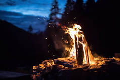 露营篝火与黄色和红色的火焰在夏天，森林。Co