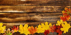 秋天枫叶在俯瞰的木板上. 1.横向框架