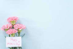 美丽、典雅的粉色康乃馨花，背景明亮浅蓝色，母亲节送花的概念，顶视图，平铺，头顶