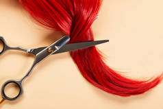 米色背景下剪子和红头发卷曲的顶视图