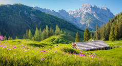 阿尔卑斯山的田园风光，夏季有传统的山间小屋和新鲜的绿色山地牧场