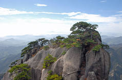 中国安徽省黄山.在通往黄山最高处的荷花峰的路上，一个岩石的露头被松树盖住了。中国黄山的风景景观.