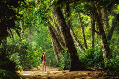 小女孩站在热带森林小径上的大树下