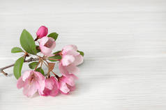 一种装饰苹果树的粉红色花朵，放在轻薄的木制桌子上。图为图片设计的贺词，日历上的春天主题
