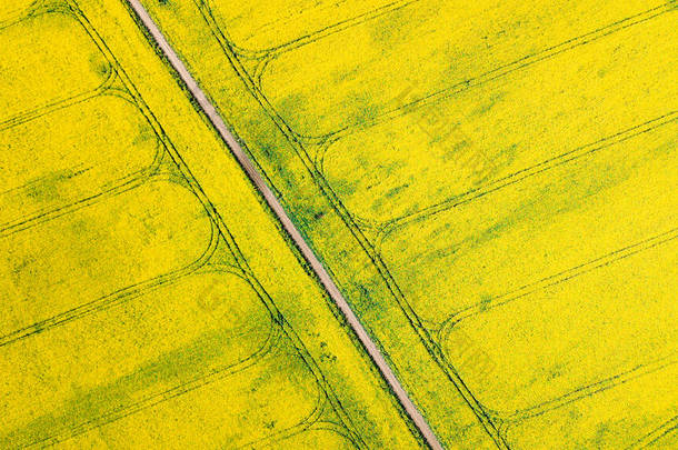 地平线上绿色和黄色油菜籽田村的鸟瞰。自然的<strong>春夏</strong>背景。无人机发射。从上而下的农田