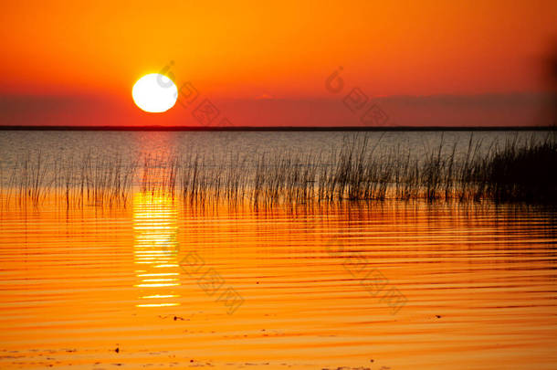 美丽的落日，地平线上的太阳反射着湖水中的<strong>金色光</strong>芒.