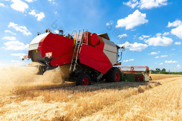 在晴朗的夏秋季节，大型工业联合收割机收获金熟小麦麦田。农业黄田机械景观背景