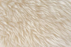 动物白色羊毛质感，米色绒毛背景，浅色自然毛，特写