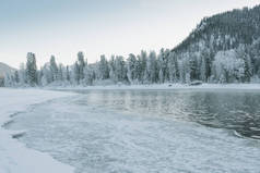 湖滨，白雪覆盖的森林。寒冷的天气，冻死的河床