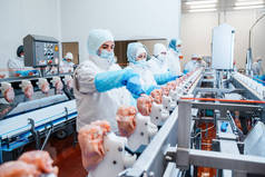 在鸡肉加工厂工作的一组工人-食品加工厂的概念。现代食品制造厂的自动化生产线。Ravioli的制作。食品制造厂的生产线。肉类加工厂，肉类加工厂.