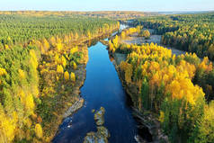 从无人森林看秋天的河流风景，从空中看全景
