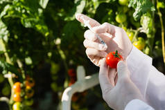 用注射器对番茄进行质量检验的检验方法