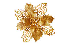 金花洁白背景孤立无援,美丽的单一朵金花,黄色金属花,花卉图案,圣诞树装饰,新年装饰,豪华老式装饰设计元素