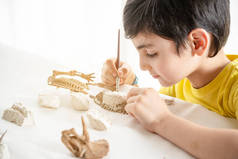 一个孩子一个人在家里玩一个科学精确的古生物学家游戏