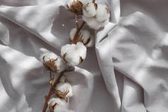 漂亮的棉枝上的灰色面料顶视图复制空间.天然棉织物质感.精致的白色棉花平躺在地上.浅色棉质背景.生态纺织品。织物生产.