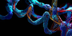 氨基酸或称为蛋白质的生物分子链- 3D图例