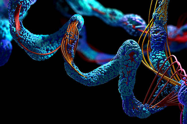 氨基酸或称为蛋白质的生物分子链- 3D图例