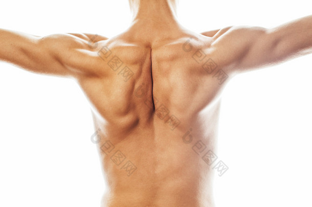 <strong>男装</strong>回关闭孤立在白色的背景下，许多肌肉 dem