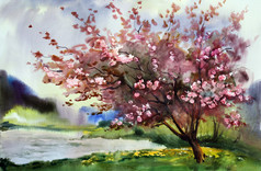 水彩风景与盛开春满鲜花的树.