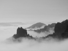 受大雾的秋景。查看到欧洲德国国家公园深处迷雾笼罩的山谷。黑色和白色的图片.