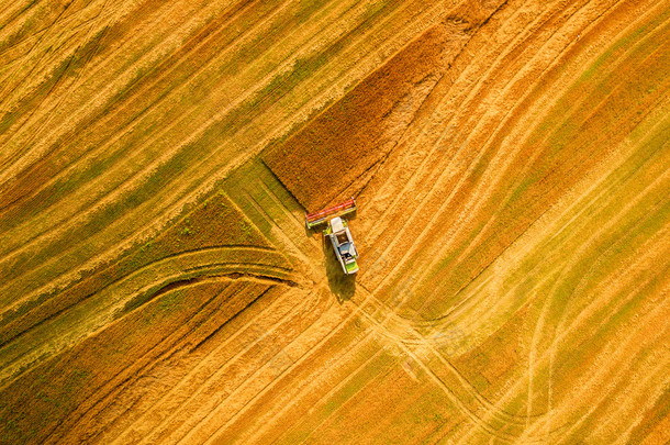 工作场和鬼脸小麦<strong>联合</strong>收割机。乌克兰。鸟瞰图.