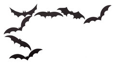 在白色孤立的挥发性蝙蝠用黑纸雕刻的剪影