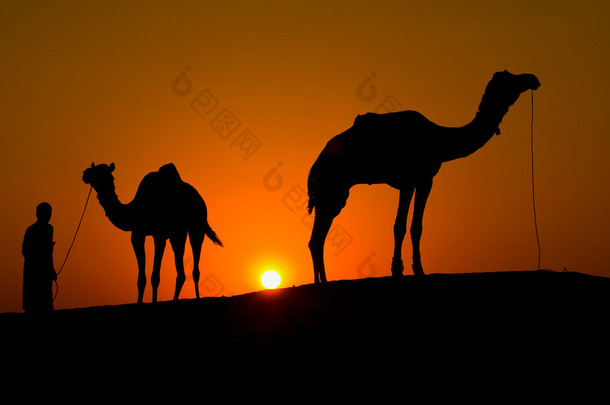 一个男人和两个骆驼在日落在沙漠中的剪影
