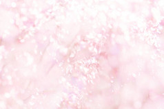模糊粉红色的花 （Melinis 三叶草） 纹理背景