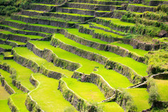 在菲律宾的水稻梯田。北方水稻种植
