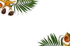 热带叶子棕榈树框架，海贝壳（海星、海贝壳、海燕），白色背景，有文字空间。俯瞰，平铺