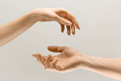 男性和女性的手展示在灰色背景下被隔离的触摸的姿态