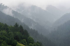 位于塞尔维亚 Zaovine 的塔拉国家公园阴雨天气的明亮朦胧的绿色山脉剪影