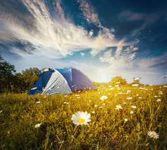 森林营地中草地上的旅游帐篷