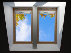 俯视蓝天和秋天橡树叶的屋顶窗户