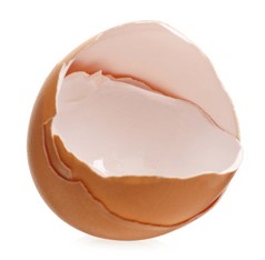 卵壳