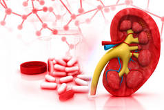 人类肾脏与药物的 3d 渲染